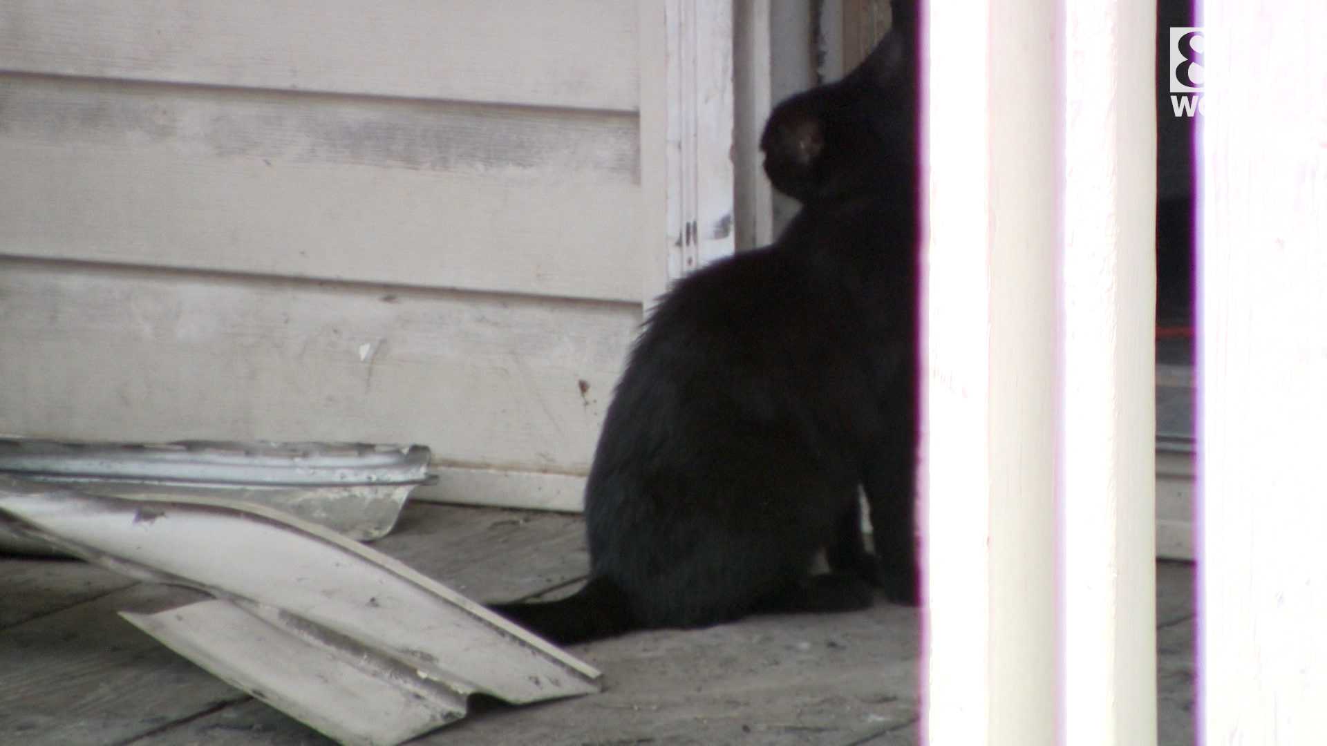 Deadly fire Mifflin County
